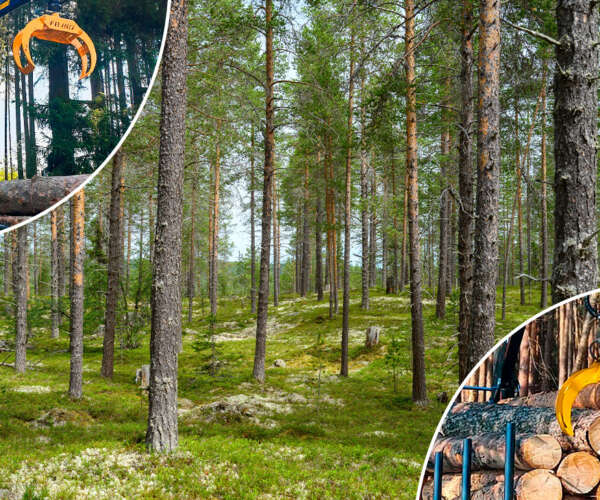 forestry machinery