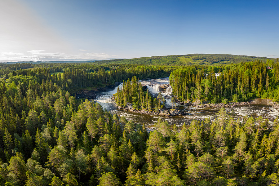 forestry transport is a central part of the supply chain
