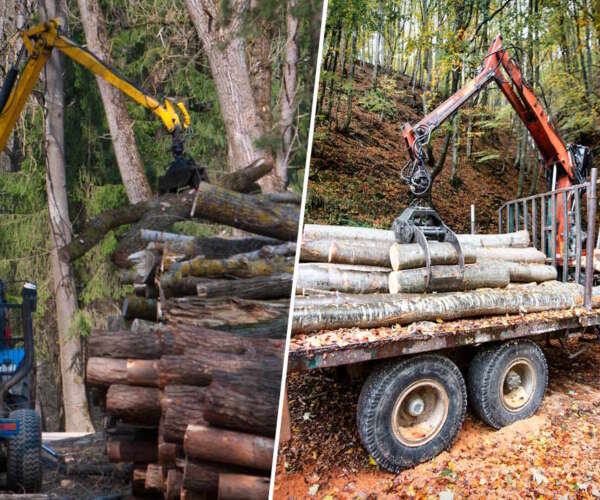 gammal-skogsvagn-1 gammal skogsvagn