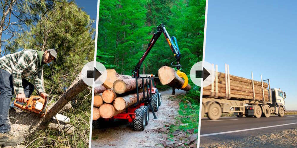 Logging transport – from the deep forest to the sawmill!