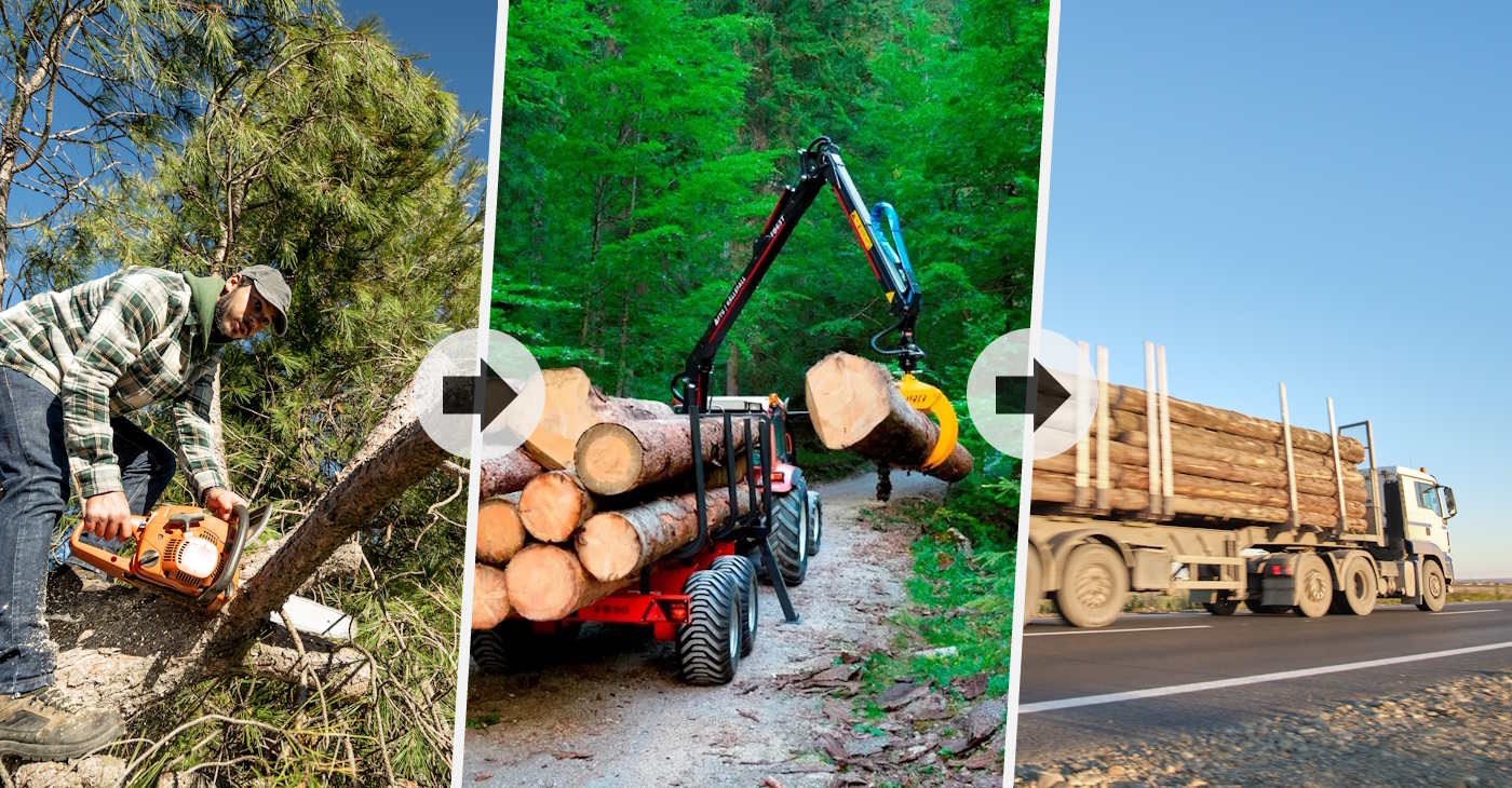 Logging transport – from the deep forest to the sawmill!